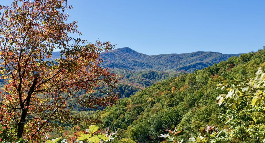 Deep South 1 Deep South 1